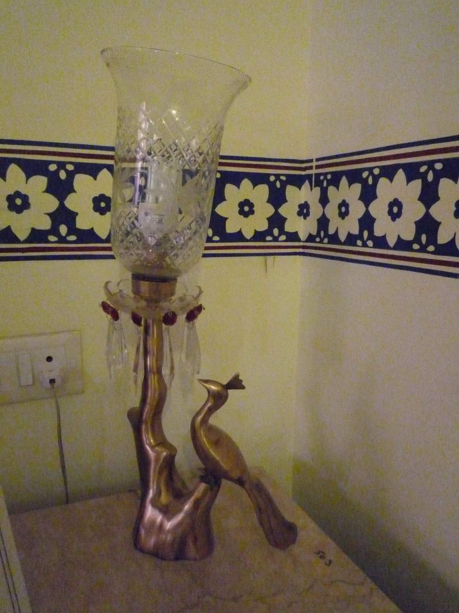 Hotel Umid Mahal12